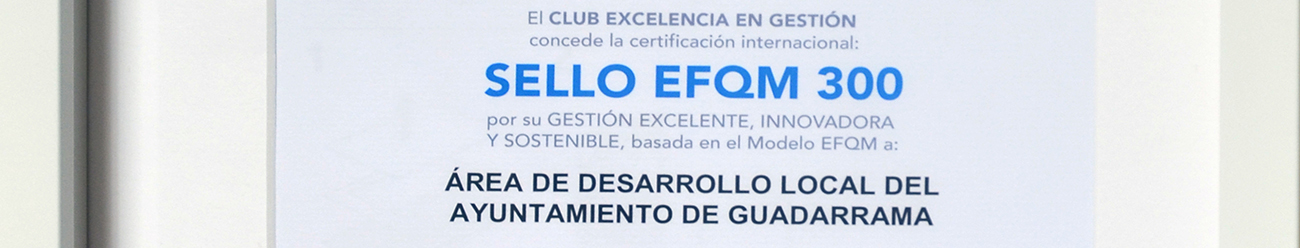 El Área de Desarrollo Local recibe el Sello EFQM 300 por una gestión "excelente, innovadora y sostenible"