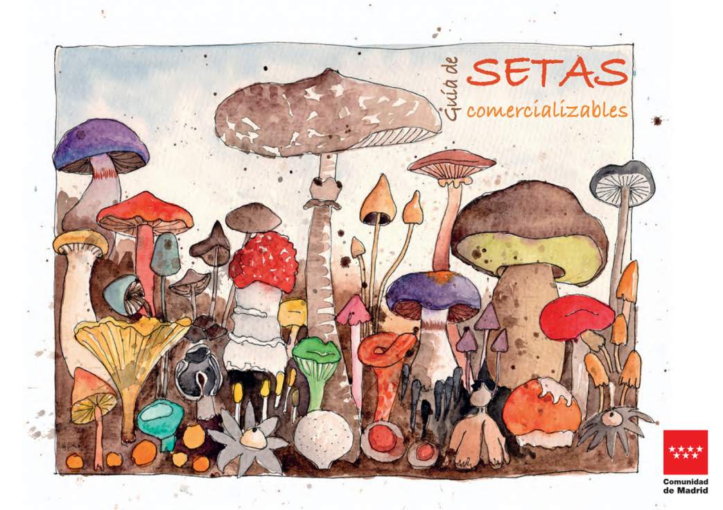 Guía de setas comercializables de la Comunidad de Madrid