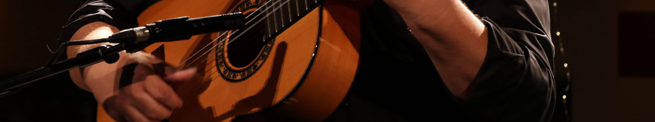 El mejor flamenco llega en abril a Guadarrama con la figura y el arte de Ricardo Fern&aacute;ndez del Moral