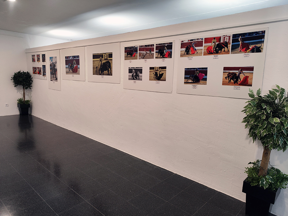 Exposicion fotografia taurina Guadarrama