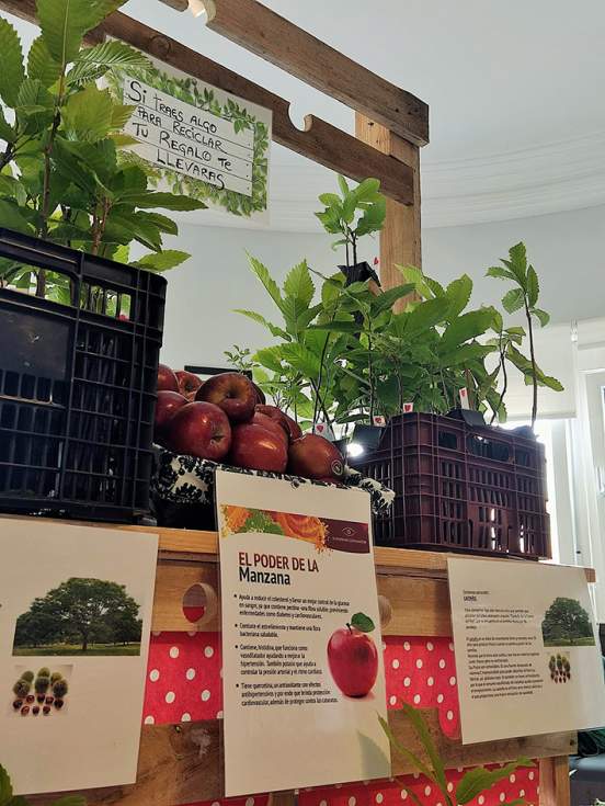 Manzanas y árboles en el Hospital Guadarrama