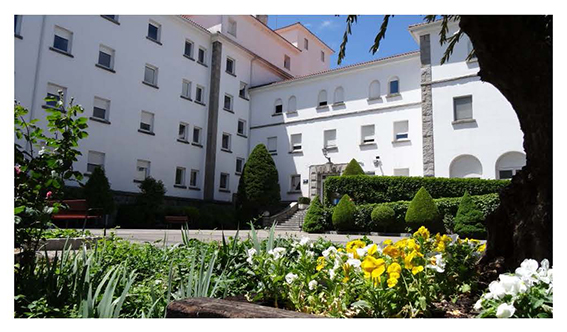 Actividades en el Hospital Guadarrama por el Día del Medio Ambiente