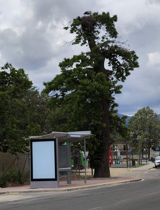 Parada de autobús en la Avenida de La Serrana en Guadarrama