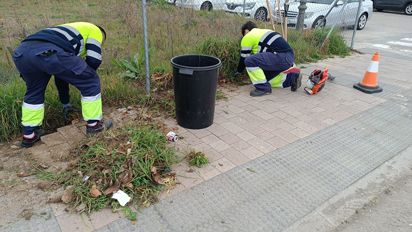 Limpieza viaria jovenes Guadarrama