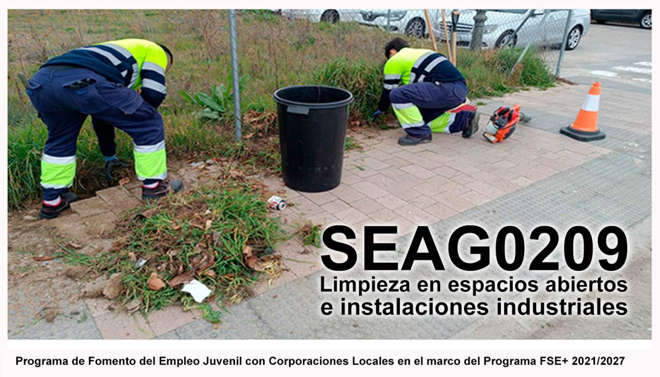 Limpieza viaria