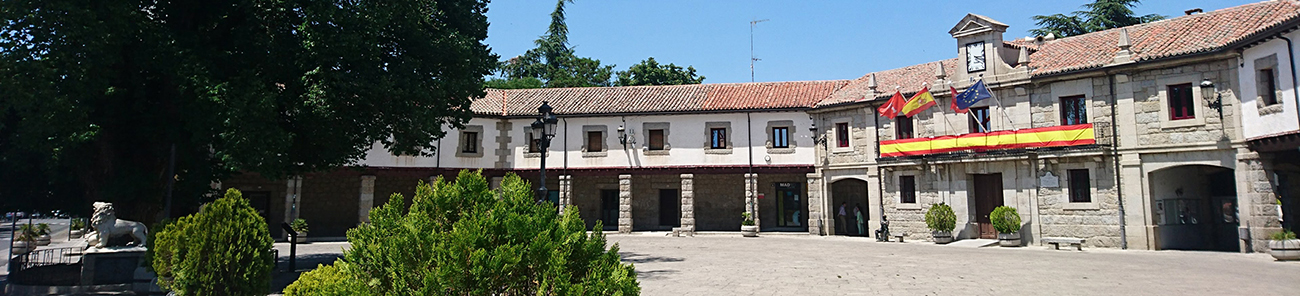 El ayuntamiento amplía en otras diez personas desempleadas su impulso al empleo con el Programa de Activación Profesional
