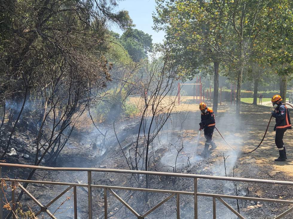 Incendio de pasto Dehesa de los panes