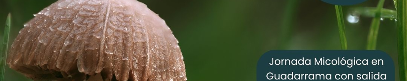 Comienzan las Jornadas micol&oacute;gicas en Guadarrama con salidas al entorno natural y talleres
