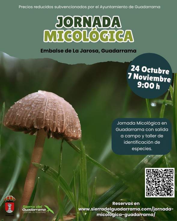 Guadarrama da la bienvenida a las Jornadas Micológicas con salidas y talleres