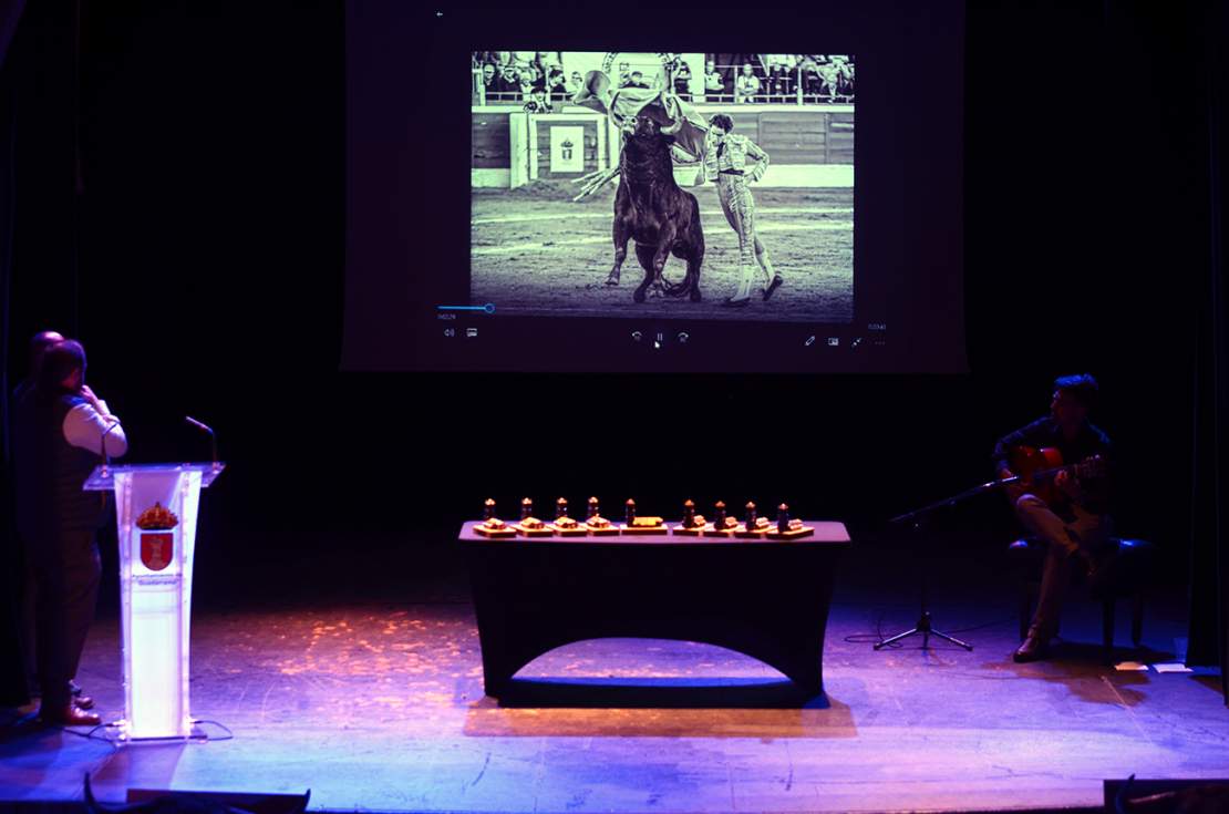 Primer premio de fotografía taurina de Guadarrama