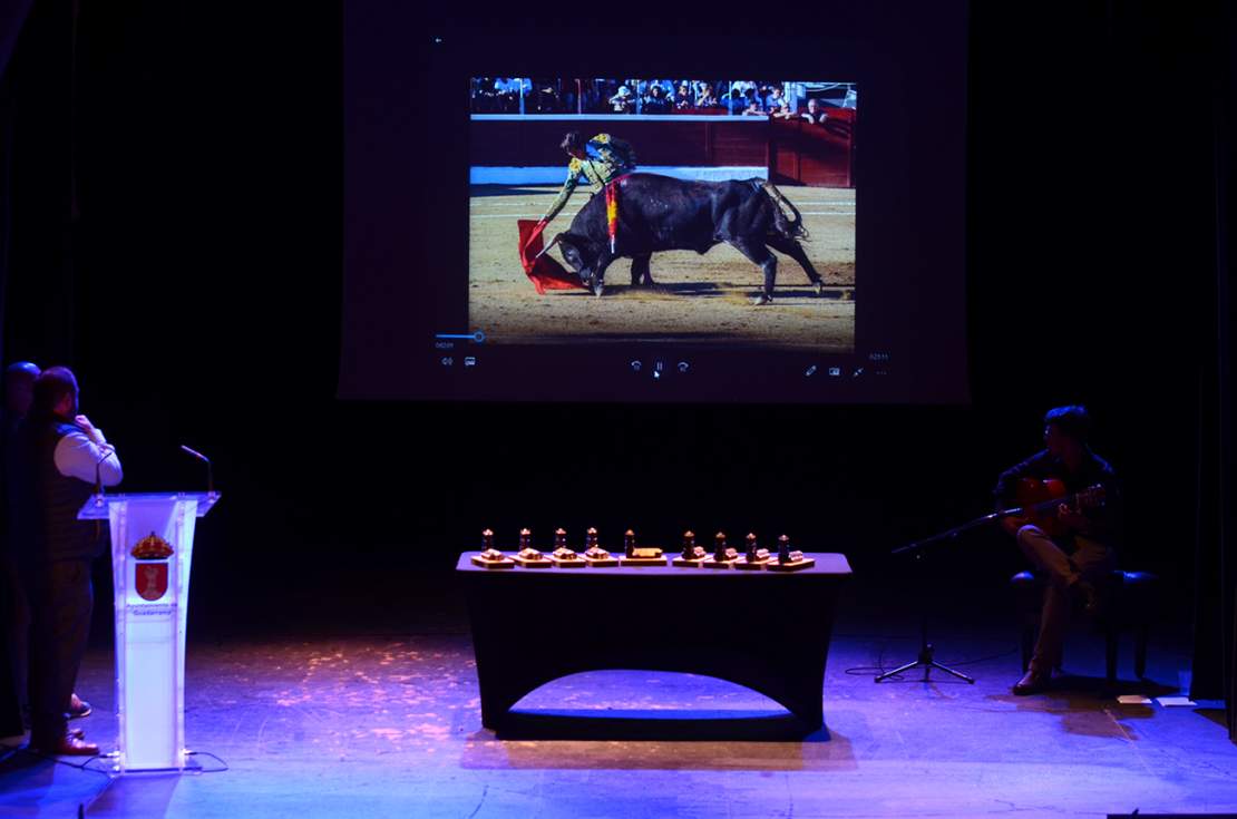 Segundo premio del certamen de Fotografía Taurina de Guadarrama