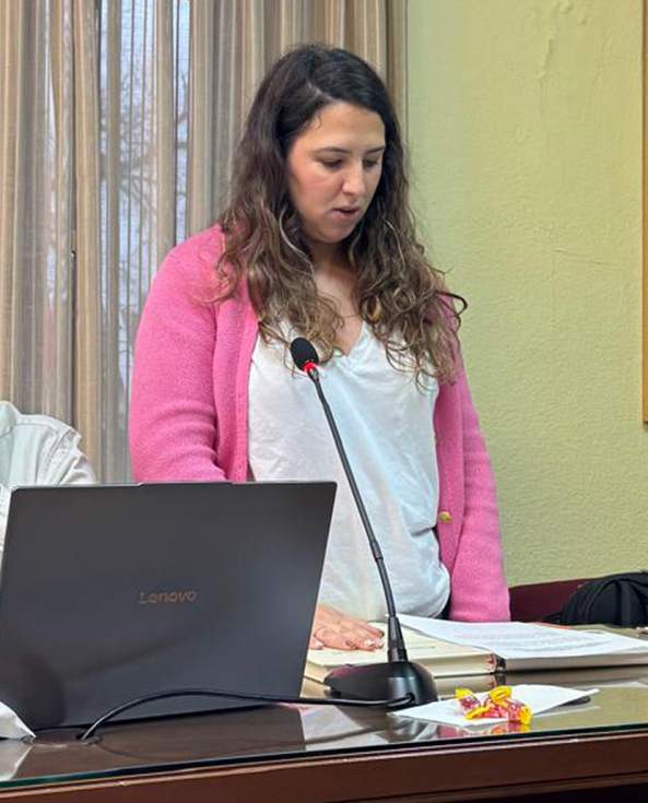 Pleno diciembre Guadarrama